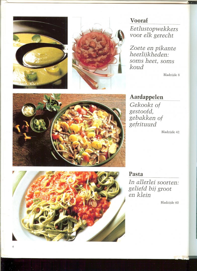 TEXTCASE - DE KOOK encyclopedie * vooraf * aardappelen * pasta * groenten * salades * vlees * vis  * wild * gevogelte * soepen en eenpansgerechten