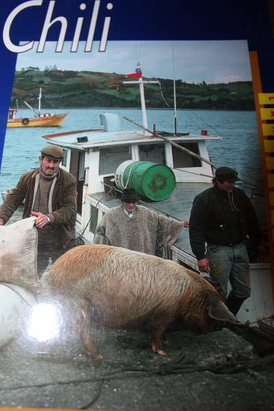 Caistor, N. - CHILI / mensen, politiek, cultuur