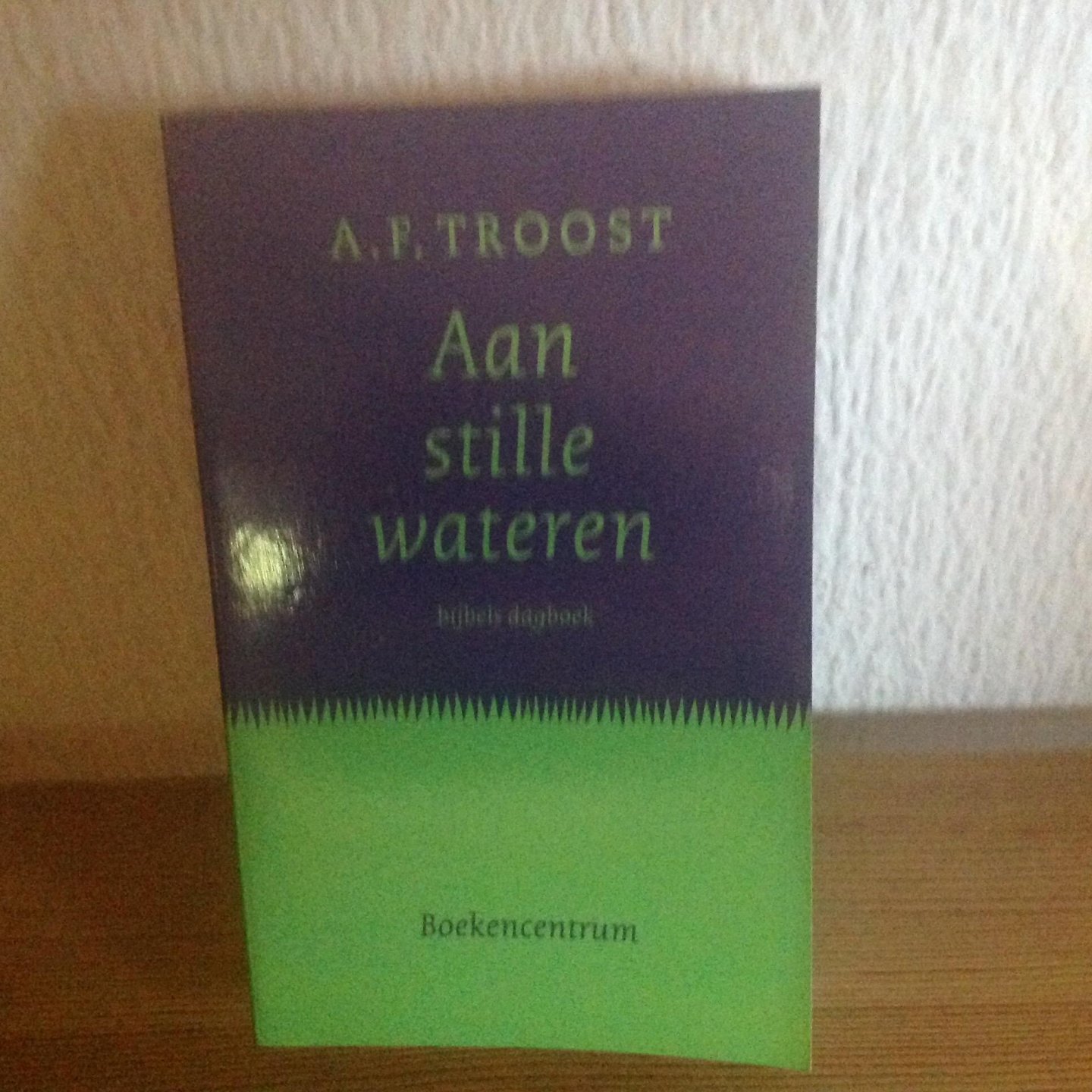 Troost, A.F. - Aan stille wateren / bijbels dagboek