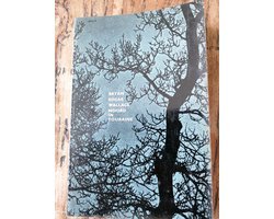 Bryan Edgar Wallace - Moord in touraine