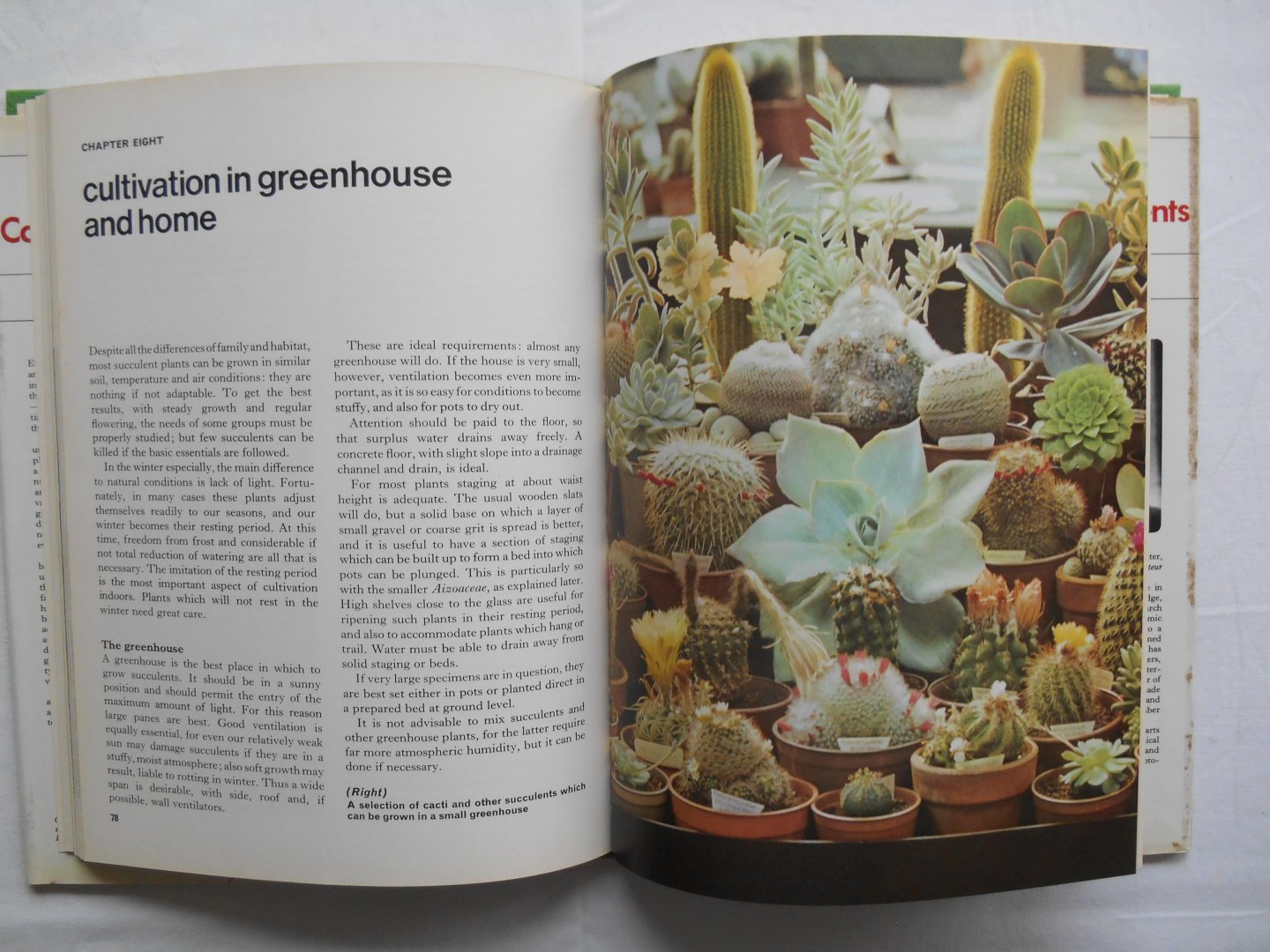 Anthony Julian Huxley - House Plants, Cacti and Succulents