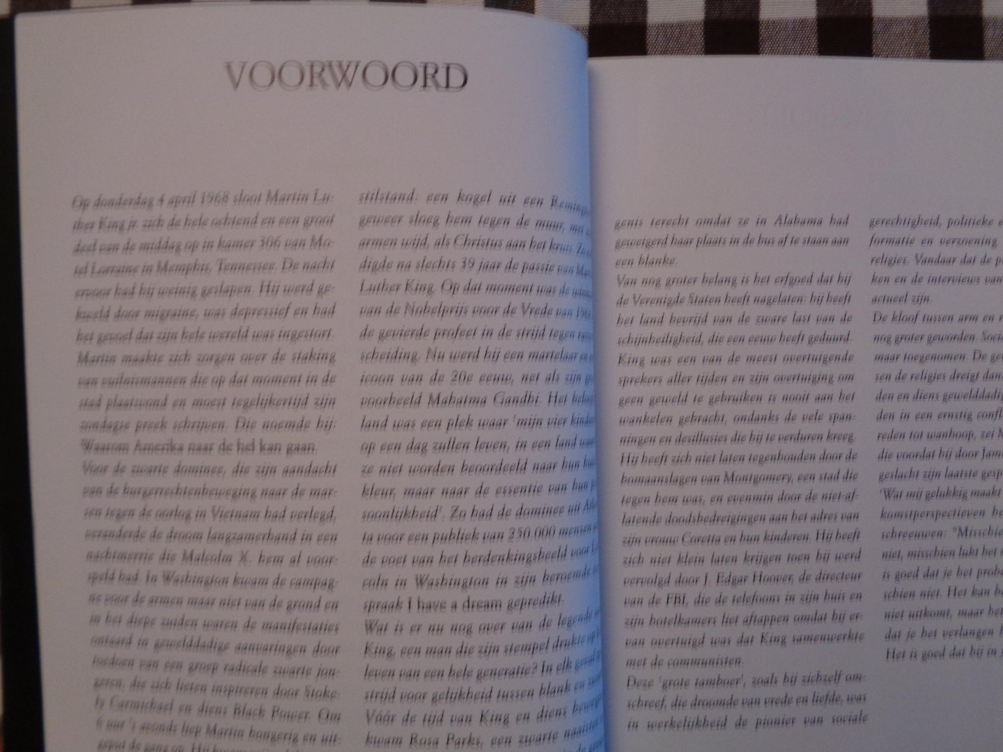 anneke drijver - martin luther king