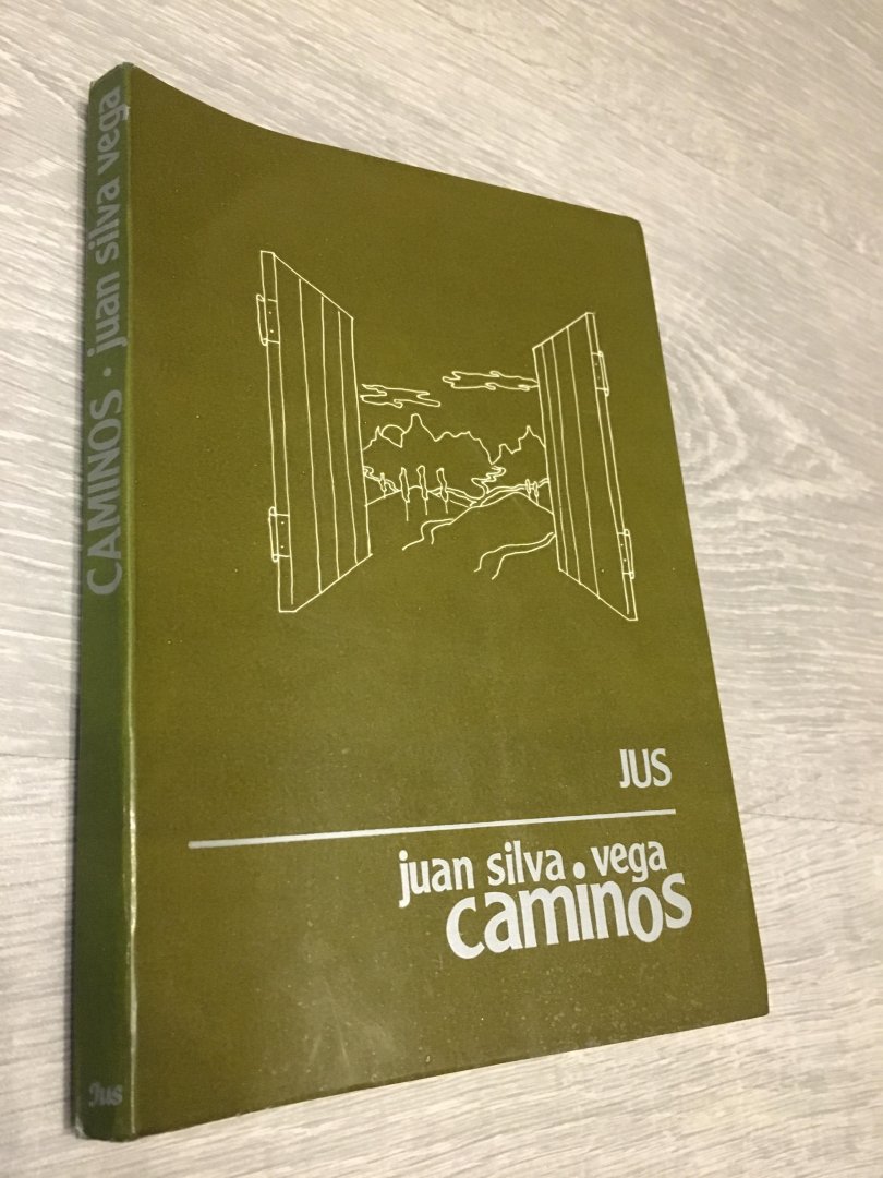 Juan Silva Vega - Caminos Novela