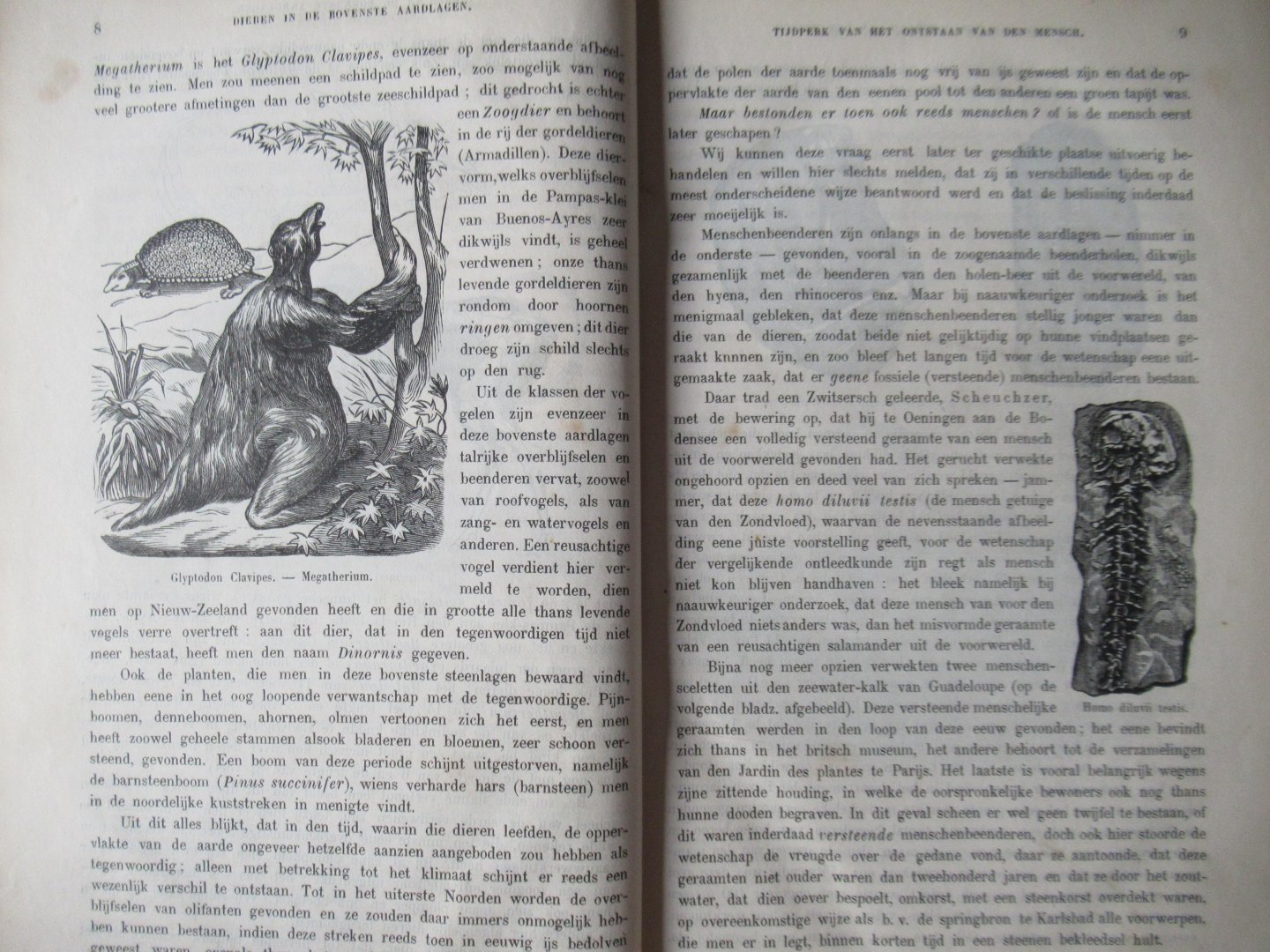 Zimmermann, W.F.A., - De wonderen der voorwereld. Een populaire voorstelling van de geschiedenis der schepping.en den oorspronkelijken toestand der aarde.