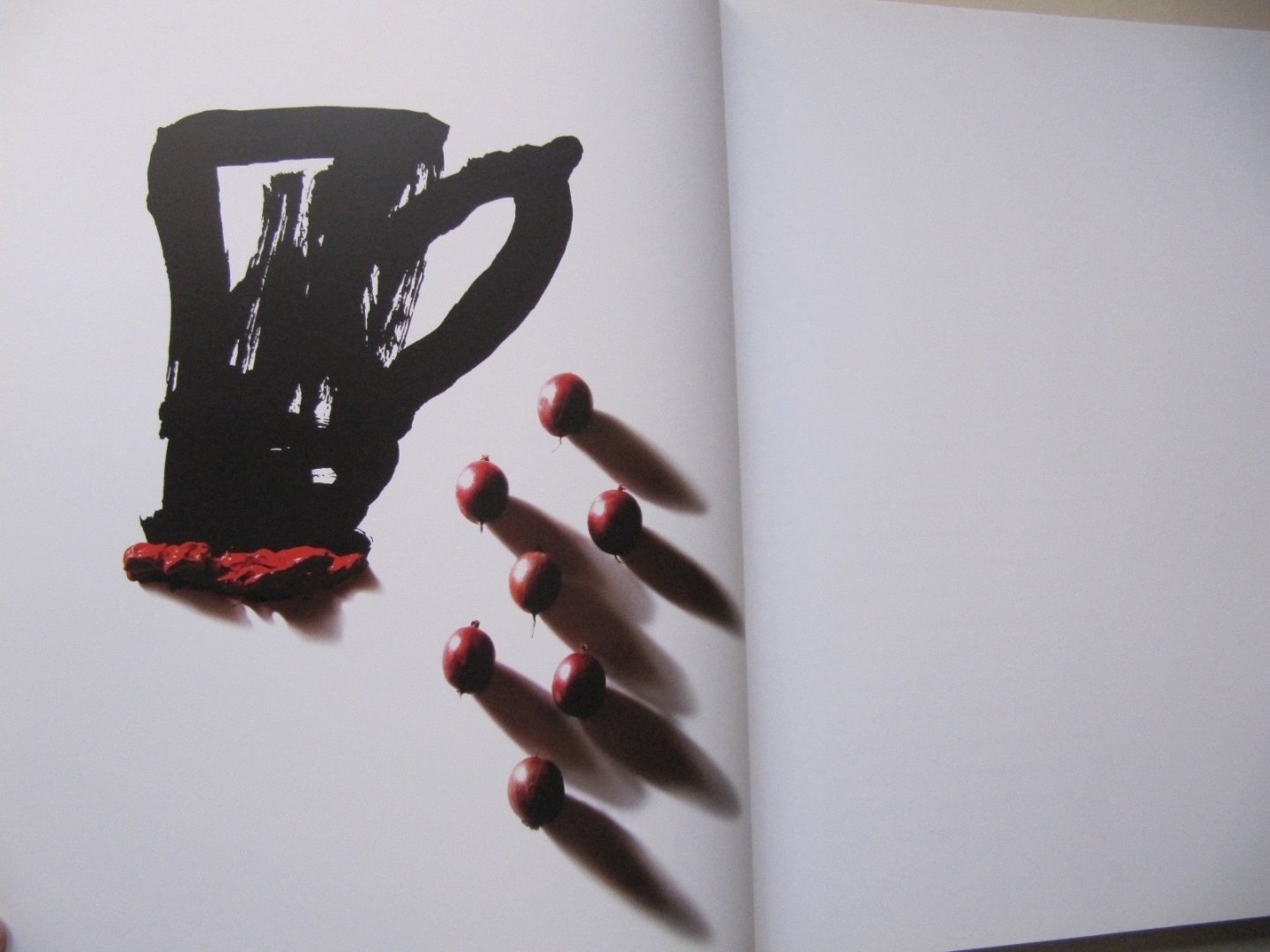 Robert Kranenborg - Pieter Ouddeken - Een bijzondere manier van cuisson geven - maar niet zonder risico