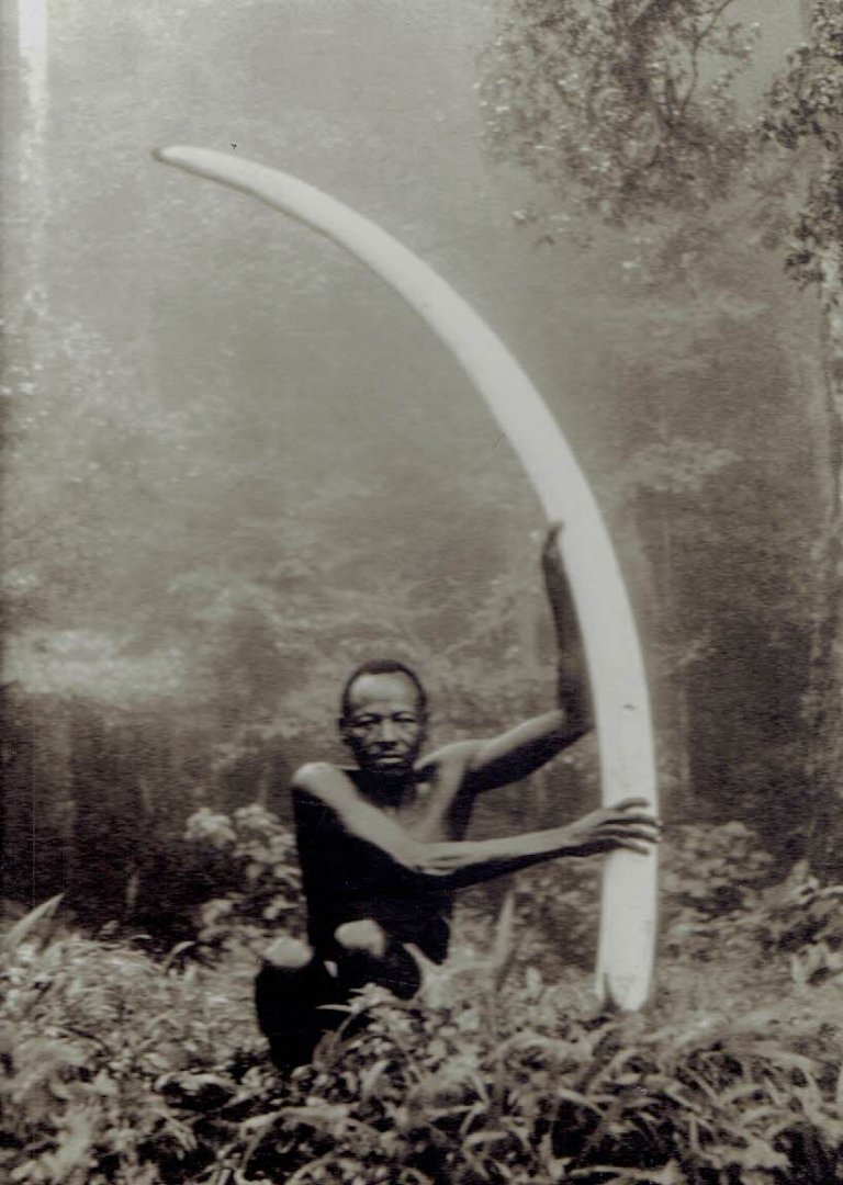 BEARD, Peter - The End of the Game - text and photographs by Peter Beard - [Published on the occasion of the fiftieth anniversary of The End of the Game] - [Nr. 216/5000]].