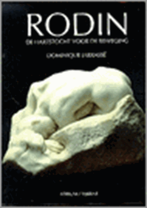 D. Jarrasse - Rodin