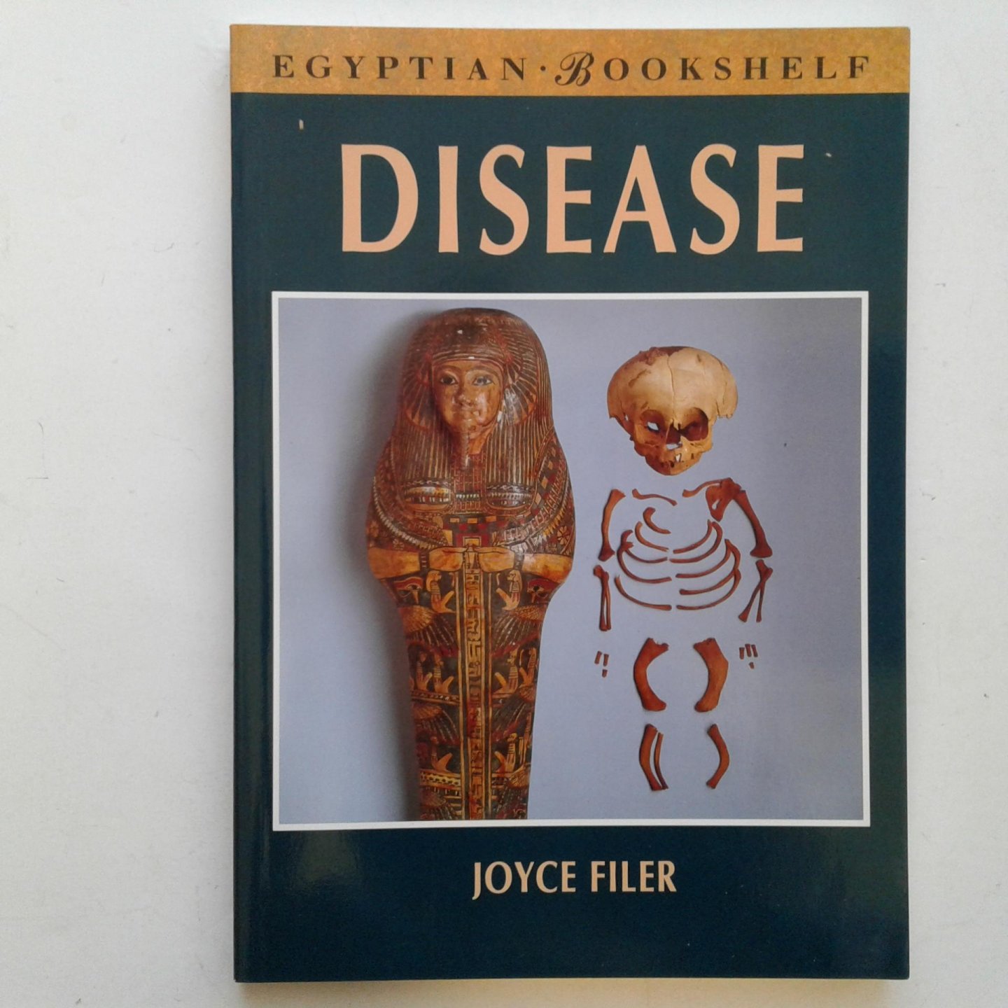 Filer, Joyce - Disease