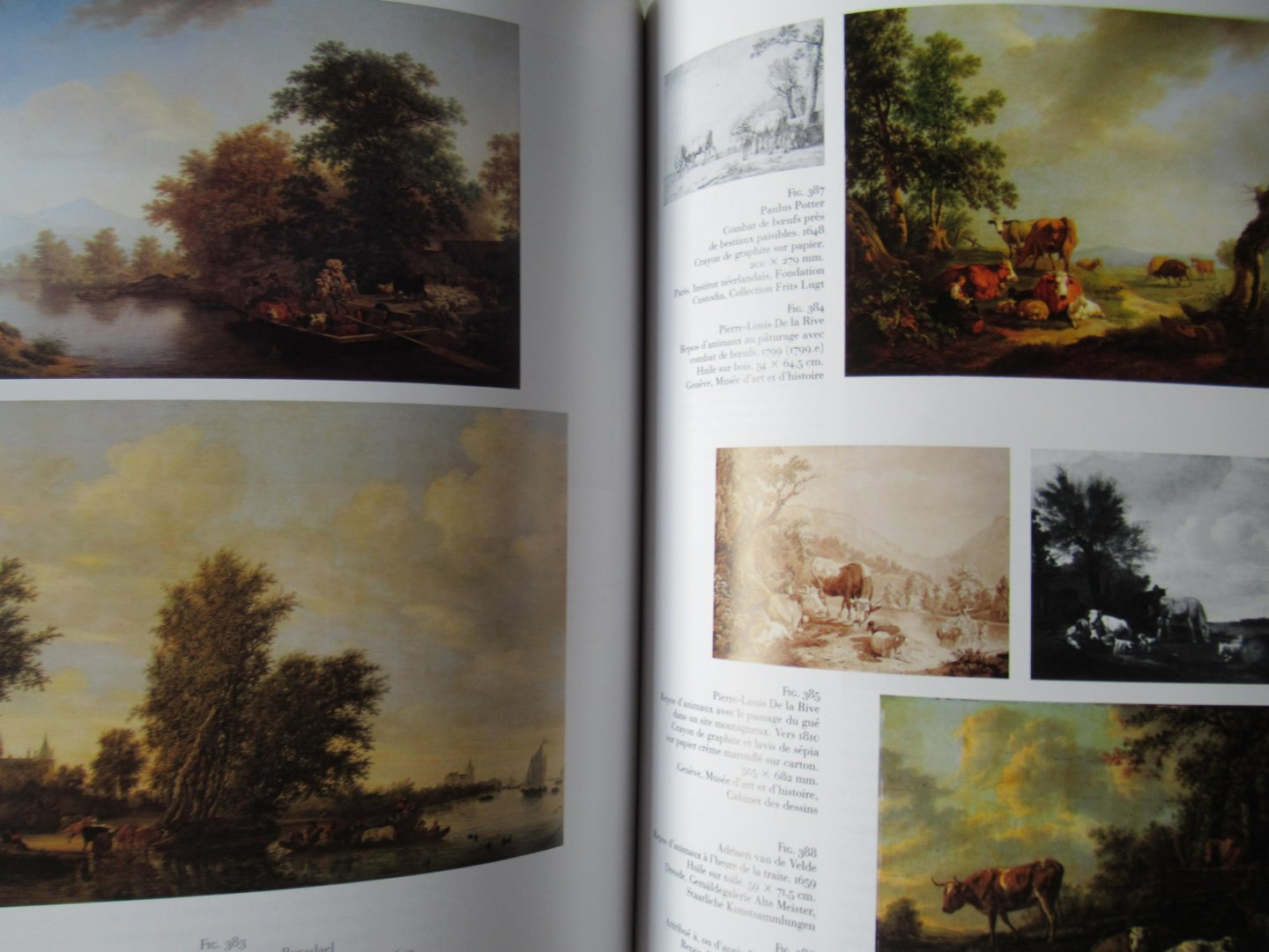 Gueretta, Patrick André - Pierre Louis De la Rive ou la belle nature: Vie et oeuvre peint (1753-1817