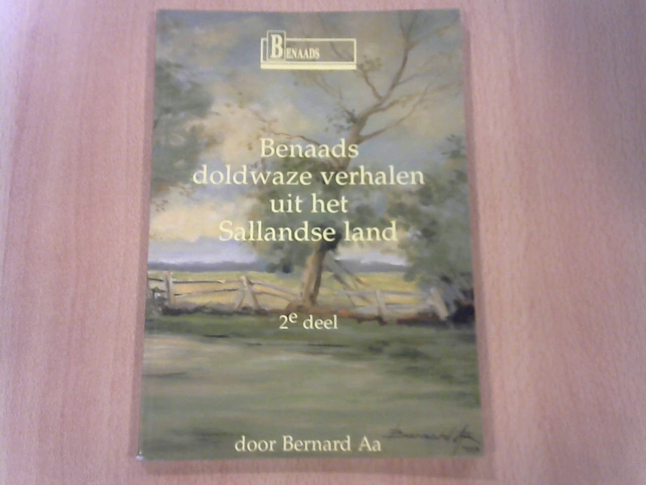 Bernard Aa - Benaads doldwaze verhalen uit het Sallandse land 2e deel