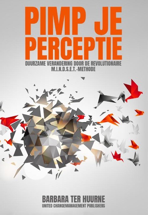 auteur onbekend - Pimp je perceptie