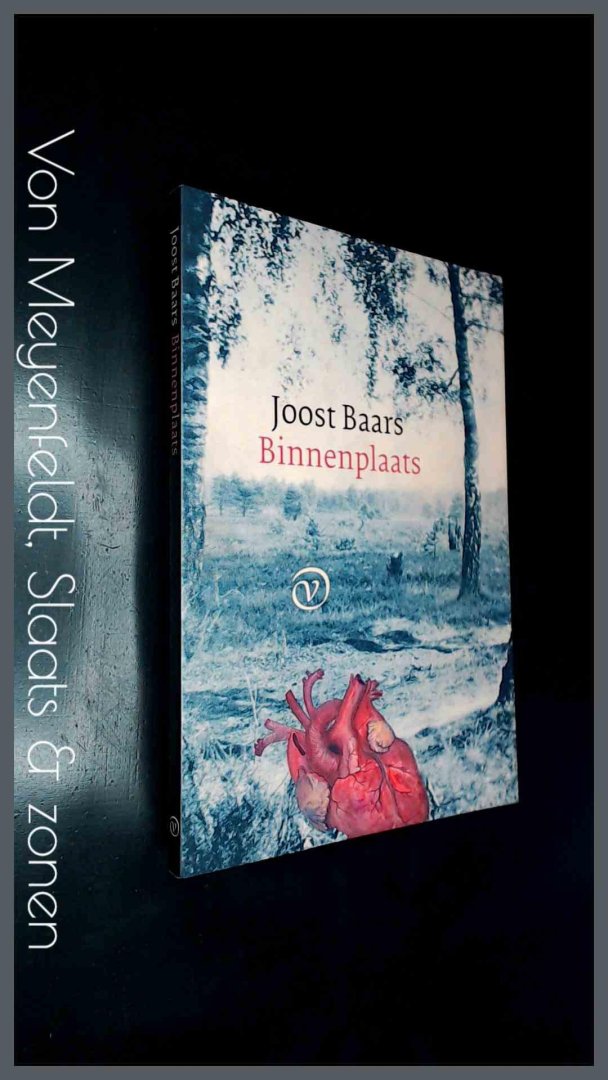 Baars, Joost - Binnenplaats