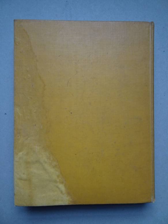 (Hichtum, N. van). - Tien verhalen uit de Duizend-en-één-Nacht.