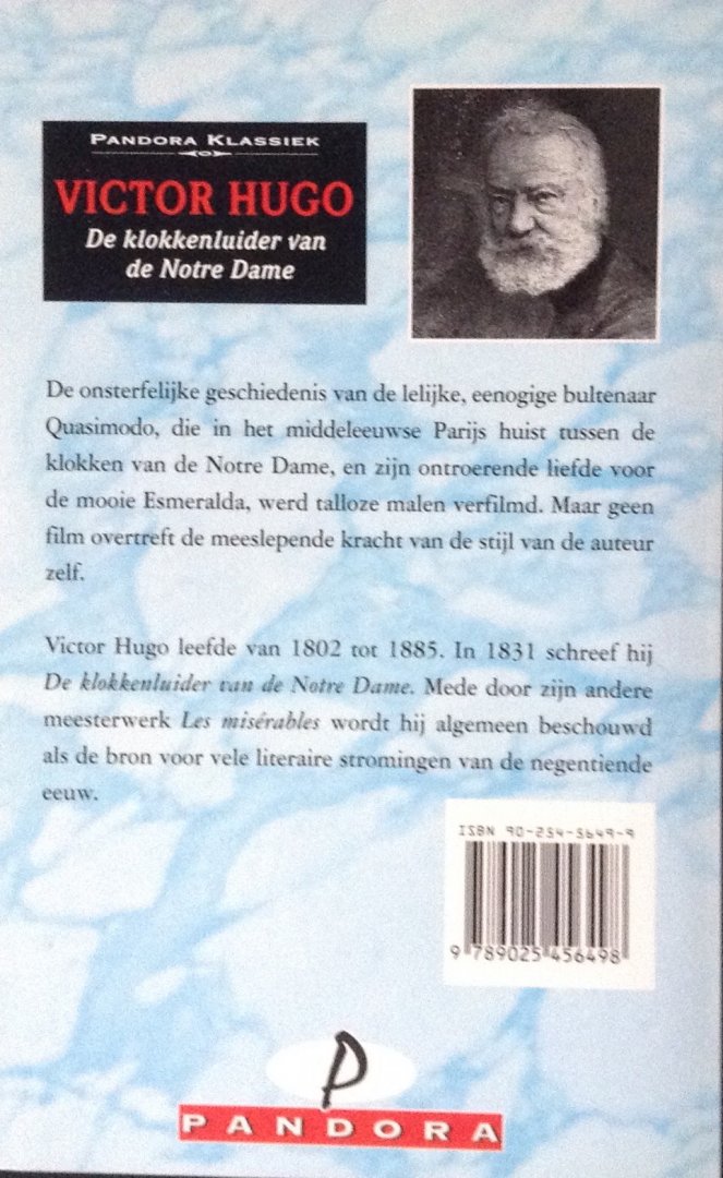 Hugo, Victor - De klokkenluider van de Notre-Dame