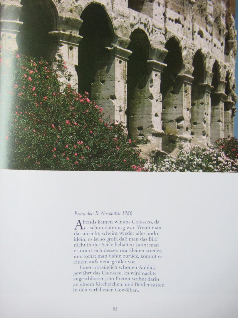 Ruetz, Michael - Goethes Italienische Reise. Ach in Arkadien