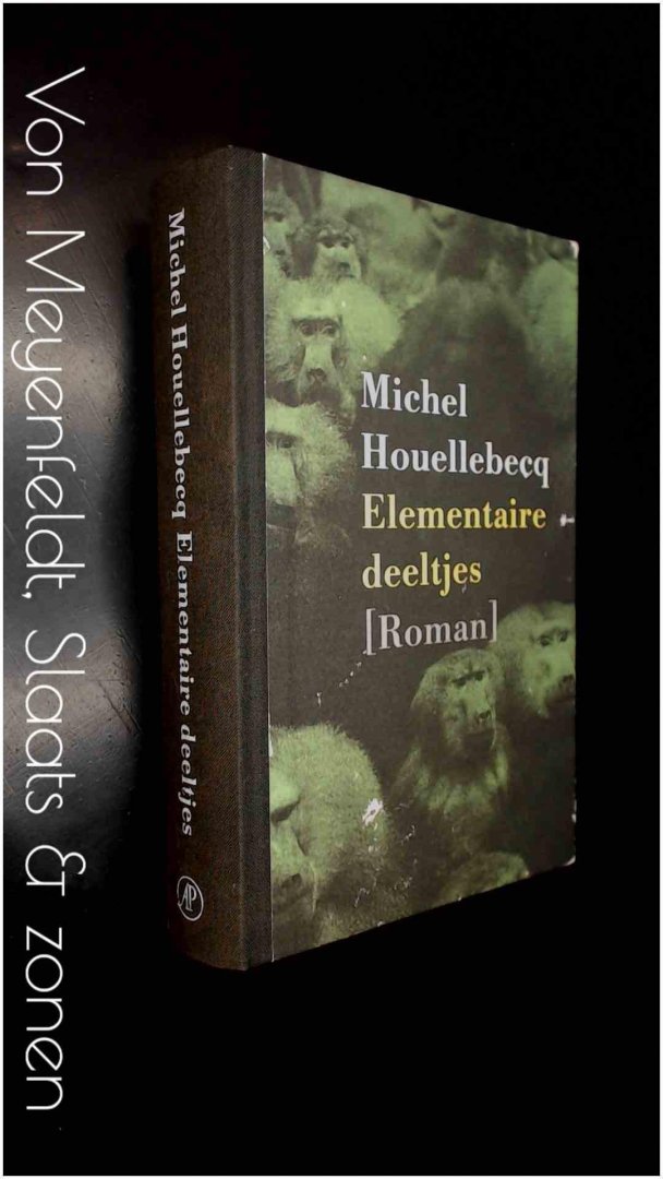 Houellebecq, Michel - Elementaire deeltjes