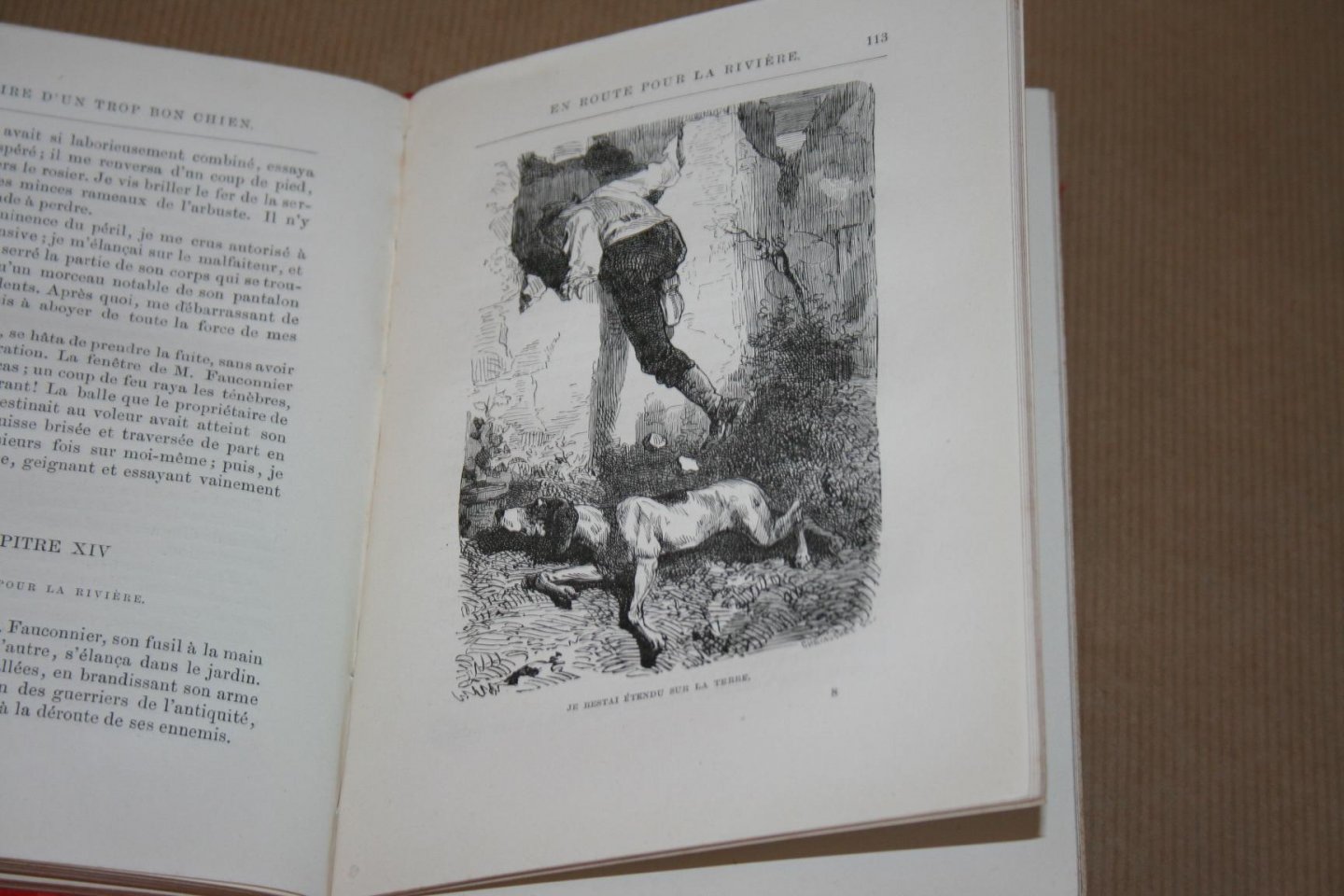 de Cherville - Histoire d'un Trop Bon Chien