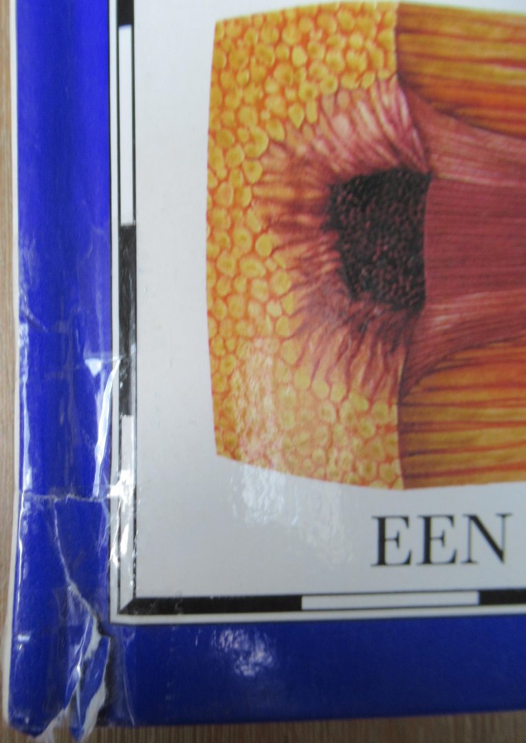 Couper, Heather - Henbest, Nigel - Atlas van de ruimte. Een fascinerende reis door ons heelal