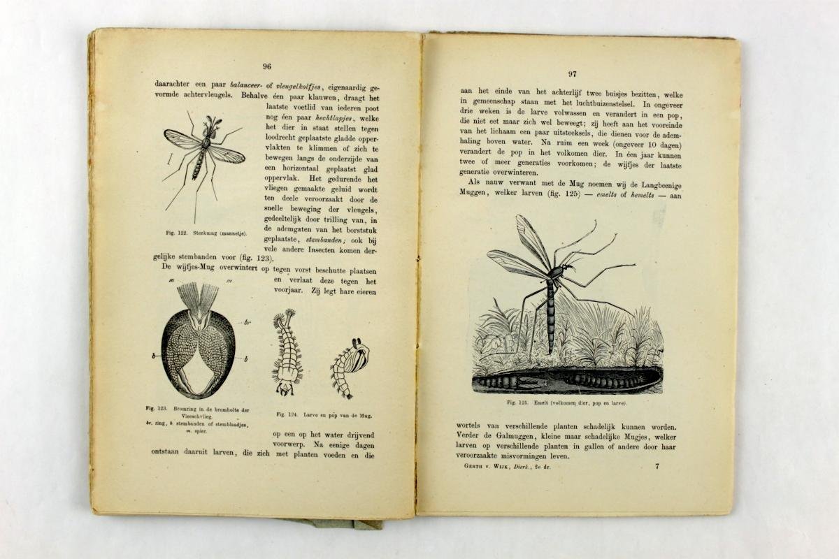 Van Wijk, H. L. Gerth - Beginselen van Plant- en Dierkunde. Deel Dierkunde (3 foto's)