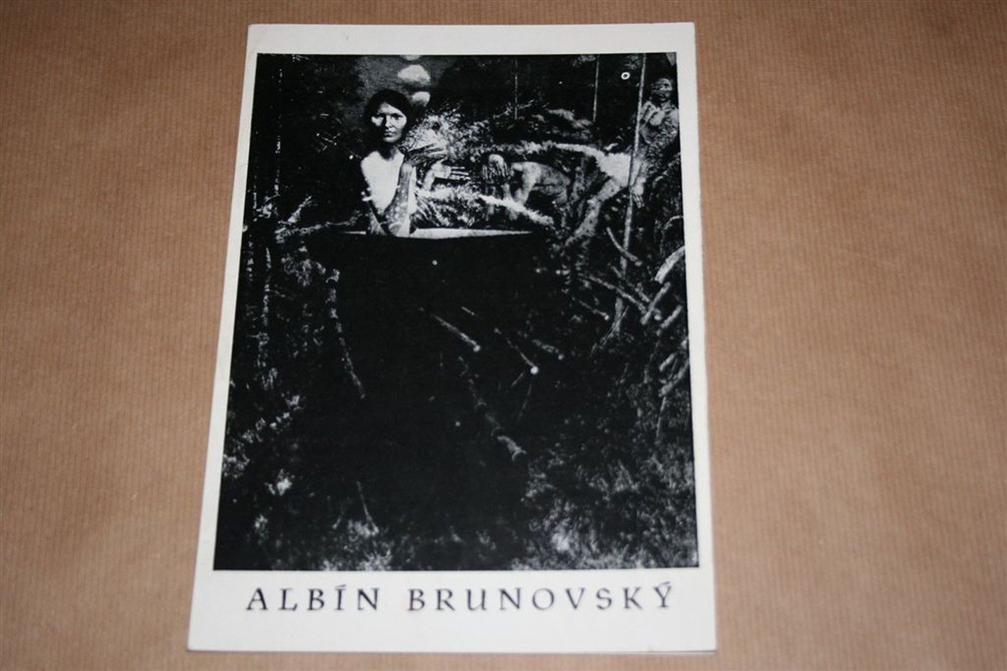  - Albin Brunovsky — Grafica