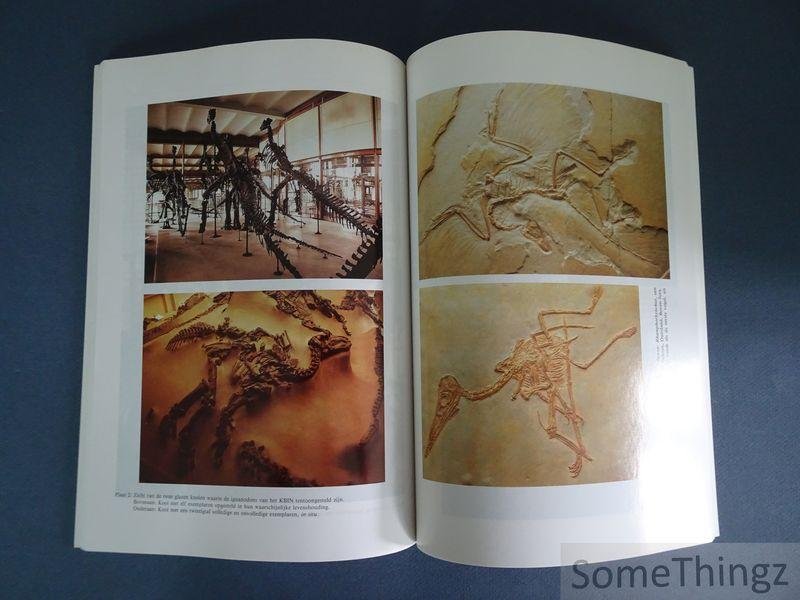 Bragard, Jean-Michel e.a. - Dinosaurs & Co. Fossielen en Robots. Catalogus.