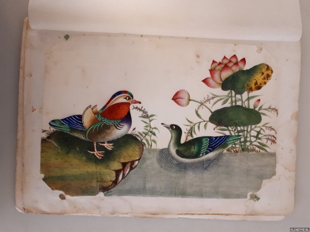 - - Chinese export watercolours: Album with 13 watercolours, circa 1880-1900