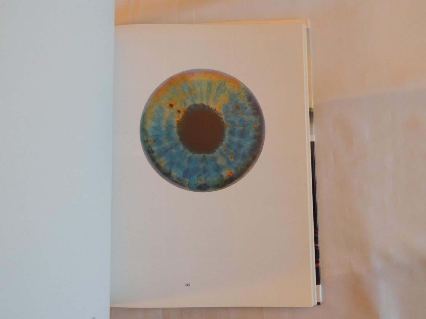 von Dirk Luckow - Petra Gördüren - Dopplereffekt. Bilder in Kunst und Wissenschaft