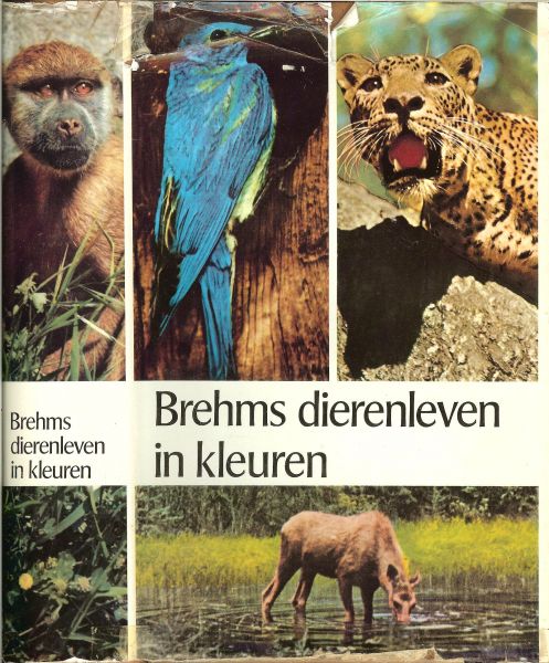 Jahn, Theo bewerkt door - Brehms dierenleven in kleuren