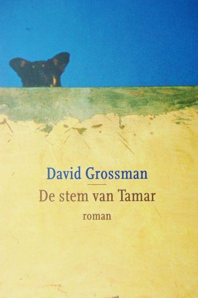 Grossman, David - De stem van Tamar