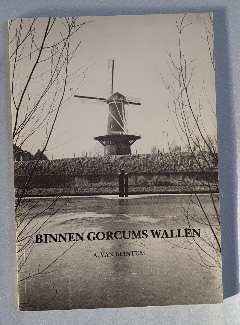 Beintum, A. van - Binnen Gorcums wallen - van Schuttersgracht tot Bakkerstraatje