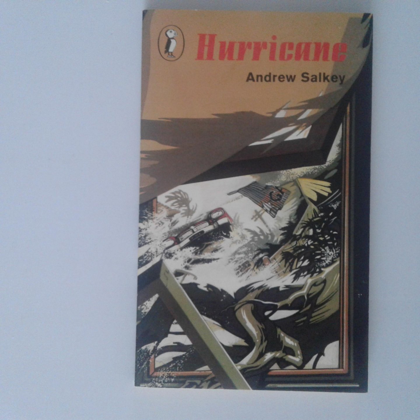 Salkey, Andrew - Hurricane ; (easy to read books)