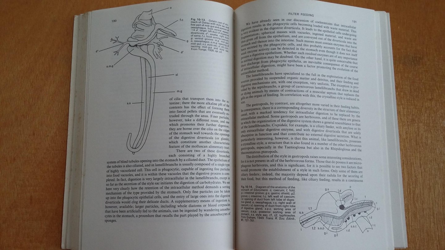 Barrington, E.j.W. - Invertebrate Structure and Function