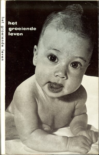 Tekeningen van C. Teewisse - Het groeiende leven