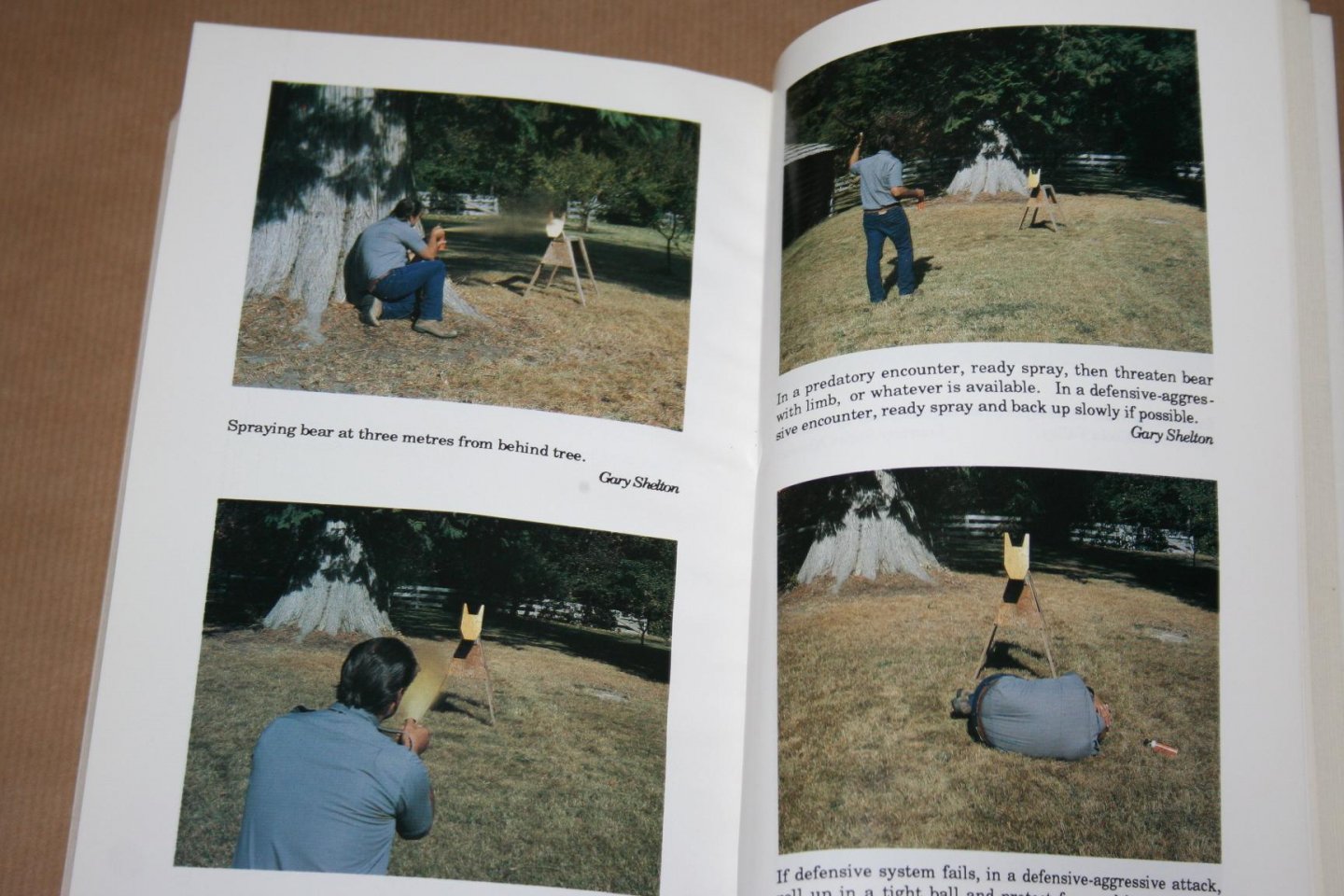 James Gary Shelton - Bear Encounter Survival Guide