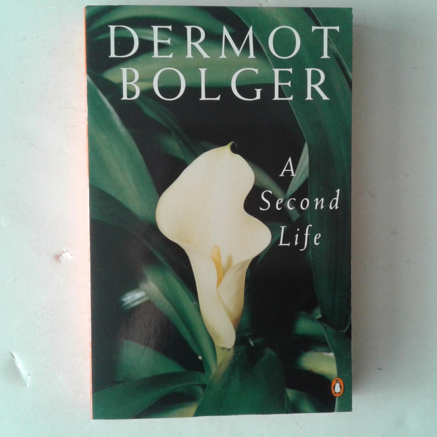 Bolger, Dermot - A Second Life