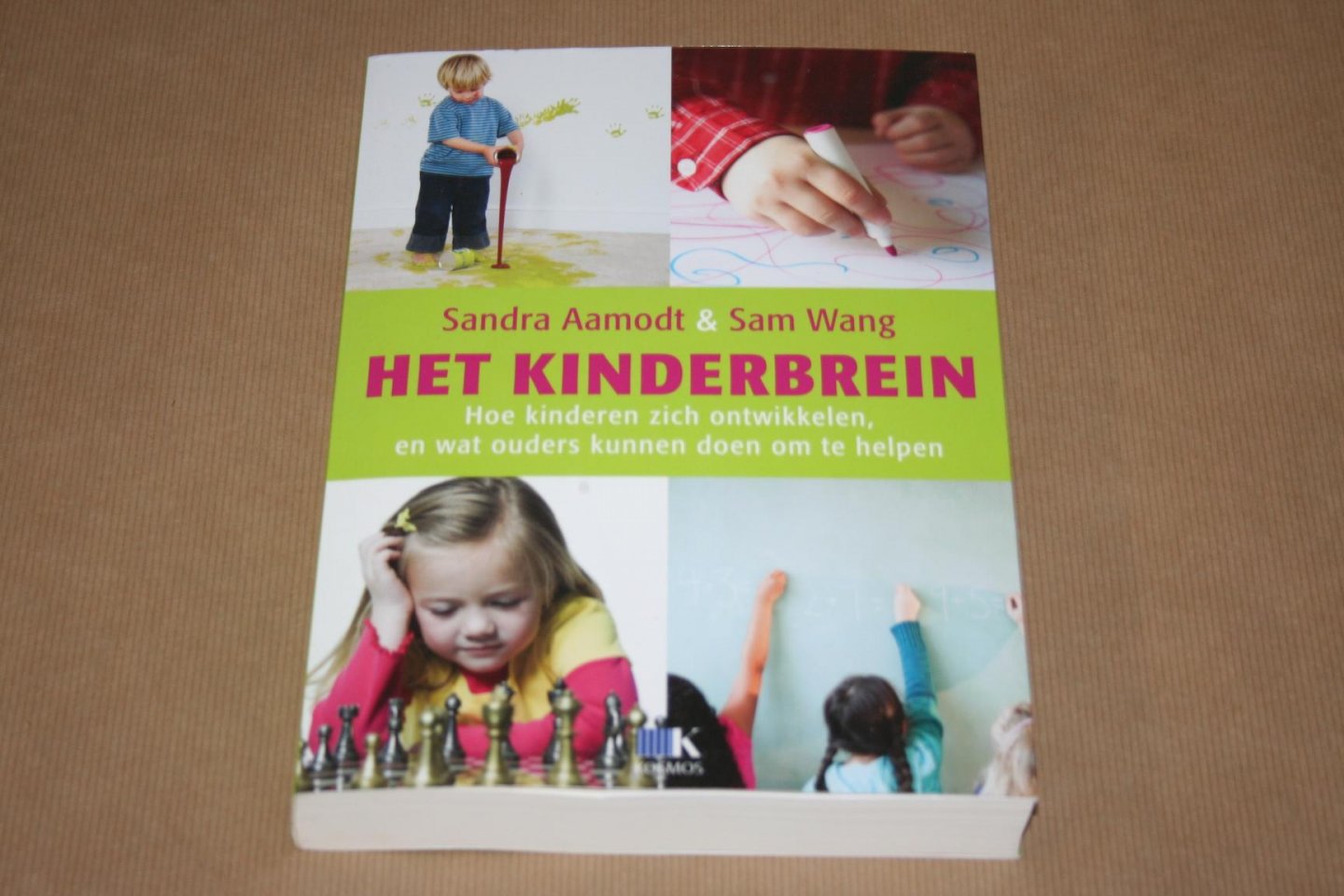 Aamodt & Wang - Het kinderbrein --  Hoe kinderen zich ontwikkelen en wat ouders kunnen doen om te helpen