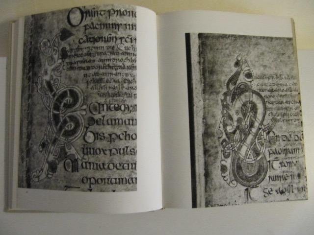 Francoise Henry (directeur d'Etudes/Dublin) - L'art Irlandais 3