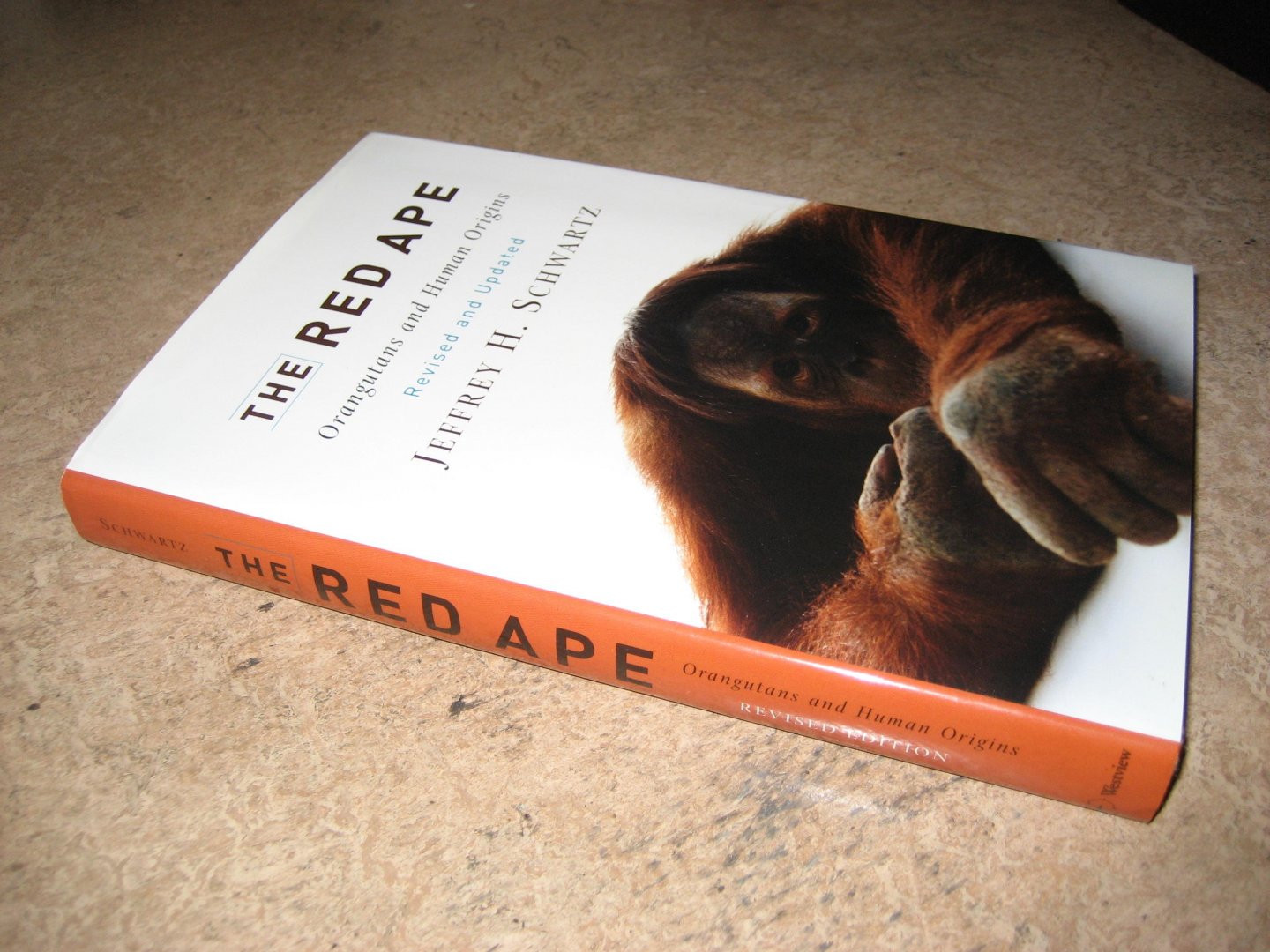 Schwartz, Jeffrey H. - The Red Ape. Orangutans and Human Origins. Revised and Updated