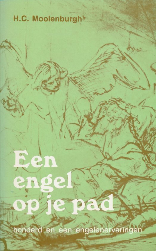 Een engel op je pad / honderd en een engelenervaringen