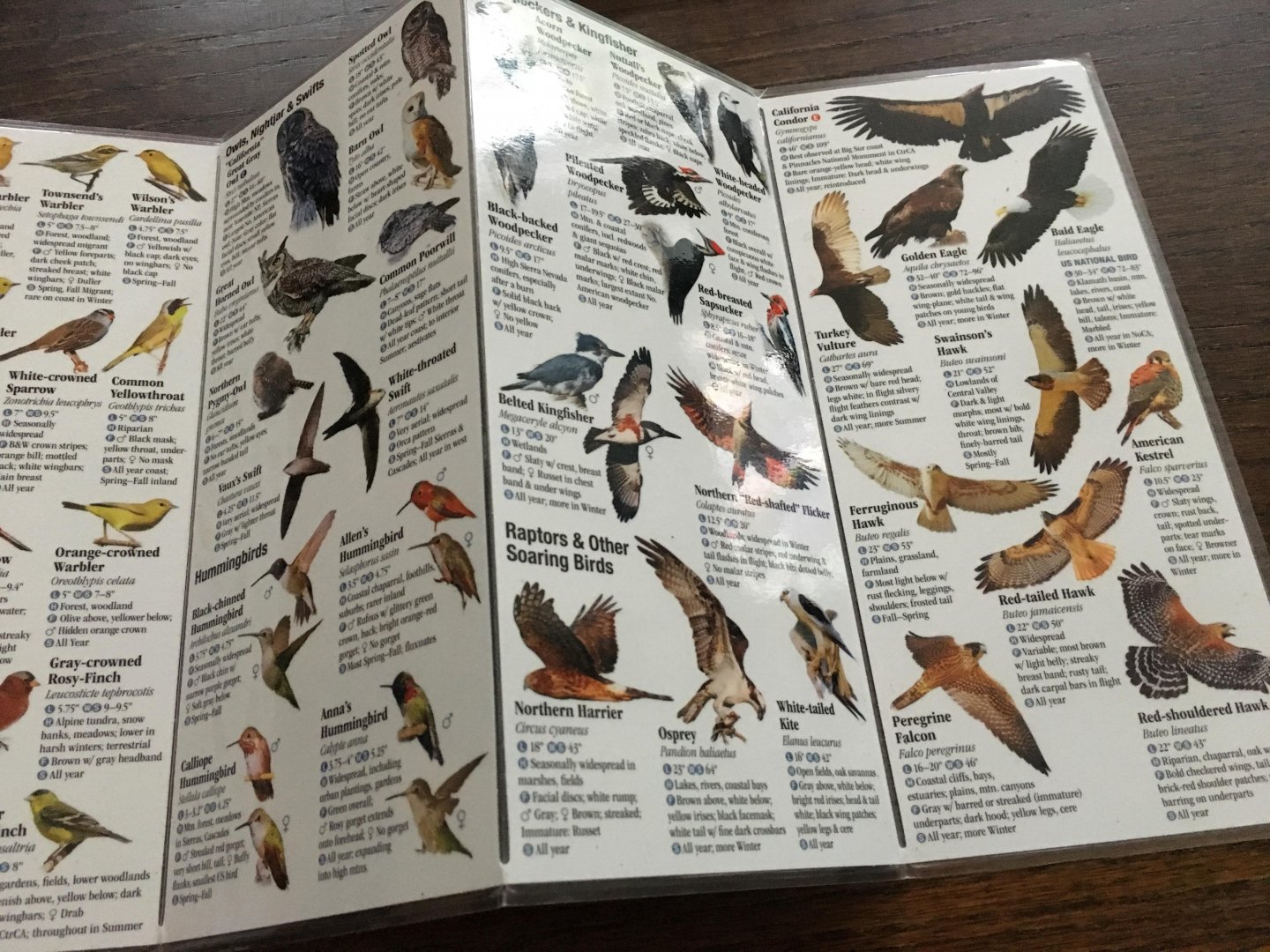 Greg R. Homel - Birds of central And northern California, A guide to common And tonale species