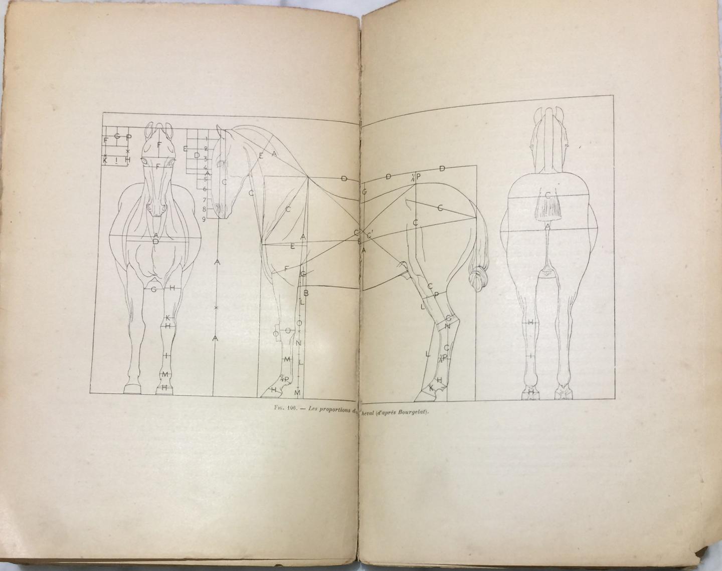 Cuyer, Edouard - Anatomie artistique des animaux