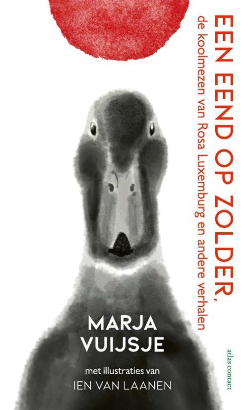Marja Vuijsje - Een eend op zolder