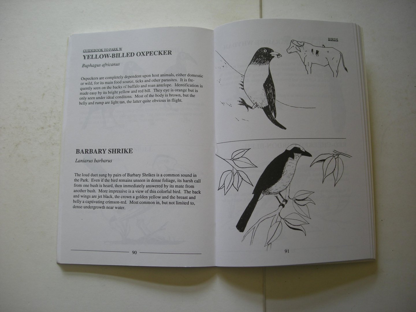 Jameson, C.M. / Crisler, T.E., 2 Peace Corps Volunteers - Guidebook to Park W, National Park Niger, The essential Guide of Mammals, Birds, Repties and Trees. (Appendix lists of Species Engl./Fr/Ge/Hausa/Zarma)