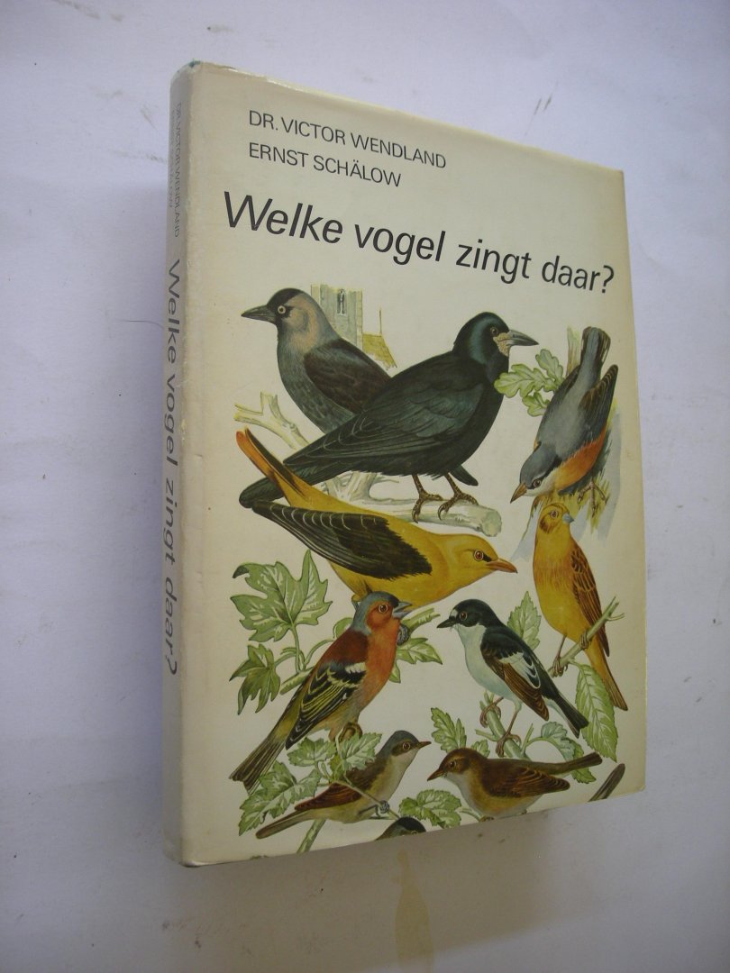 Wentland, V., tekst / Schalow, E., geluid / Schulze, K. ill. / Hubert,B.en  Meijer,J.A, vert. - Welke vogel zingt daar?