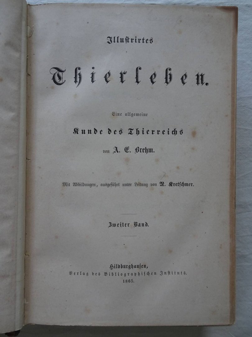 Brehm, A.F.. - Brehms Thierleben. Allgemeine Kunde des Thierreichs. Mit Abbildungen, ausgeführt unter Leitung von R. Kretschmer. Zweiter Band.