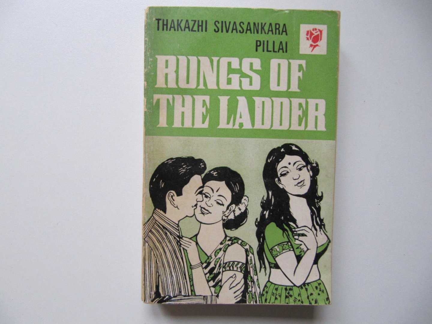 Thaazhi Sivasankara Pillai - Rungs of the Ladder
