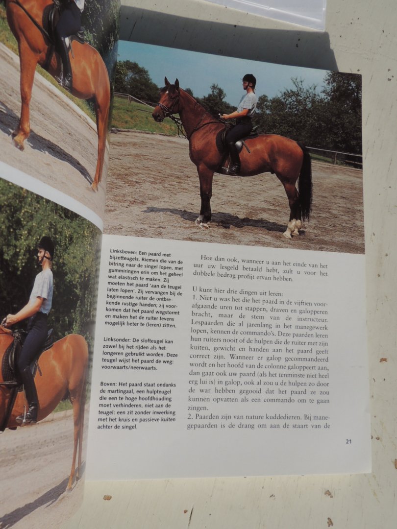 Stern, Horst - Zo leert u paardrijden