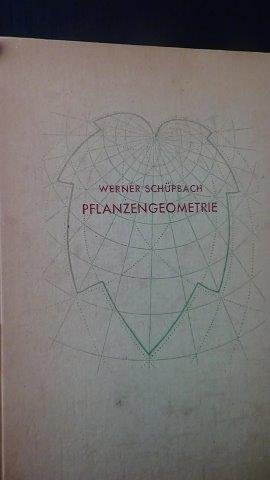 Schüpbach, Werner, - Pflanzengeometrie.