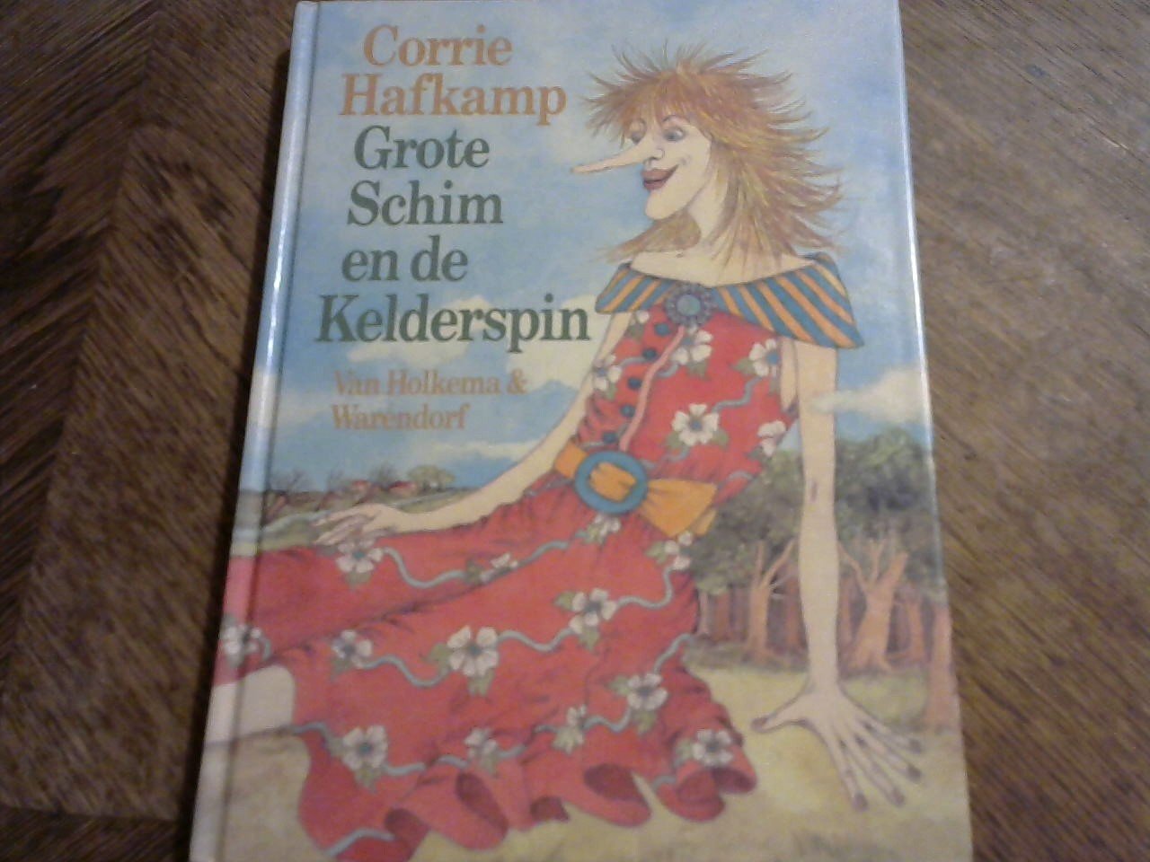 Hafkamp Corrie - Grote Schim en de Kelderspin
