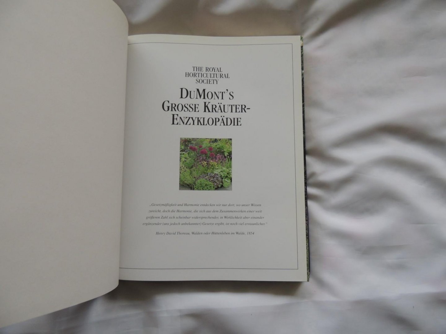 Bown, Deni - DuMont's grosse Kräuter-enzyklopädie